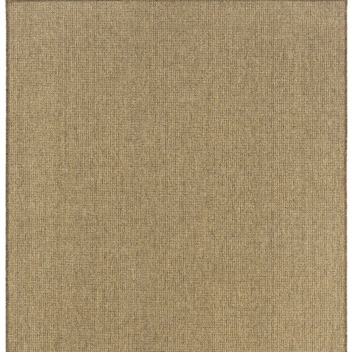 5' x 8' Tan Stain Resistant Indoor Outdoor Area Rug