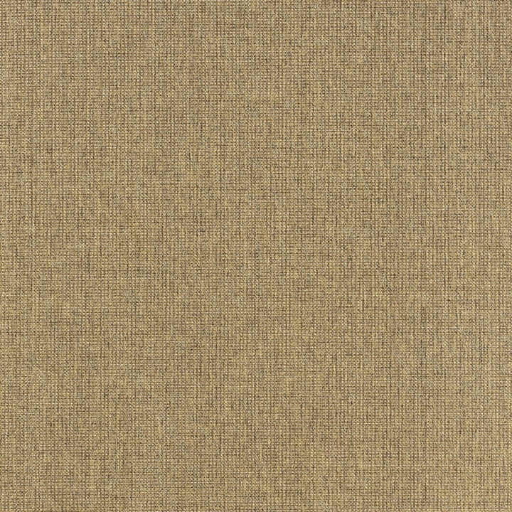 5' x 8' Tan Stain Resistant Indoor Outdoor Area Rug