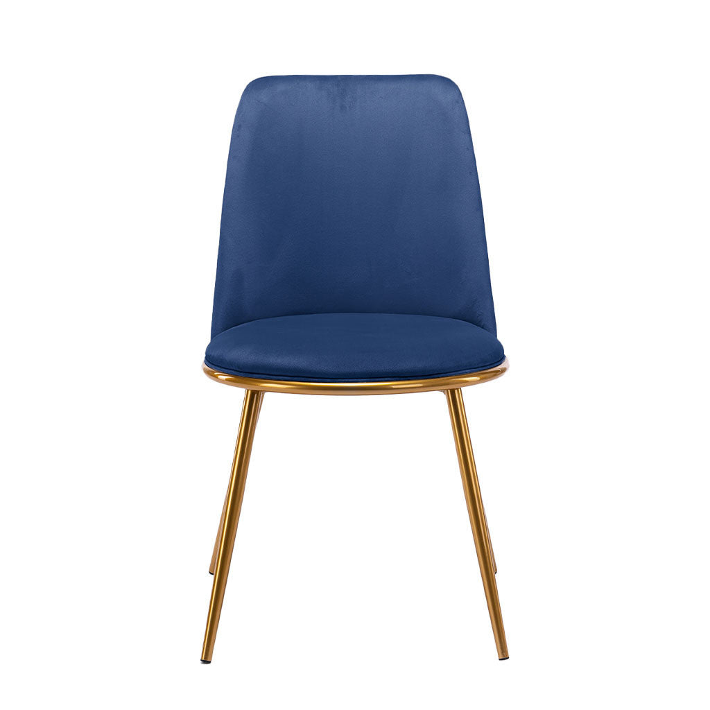 Blue And Gold Velvet and Metal Dining Side Chair