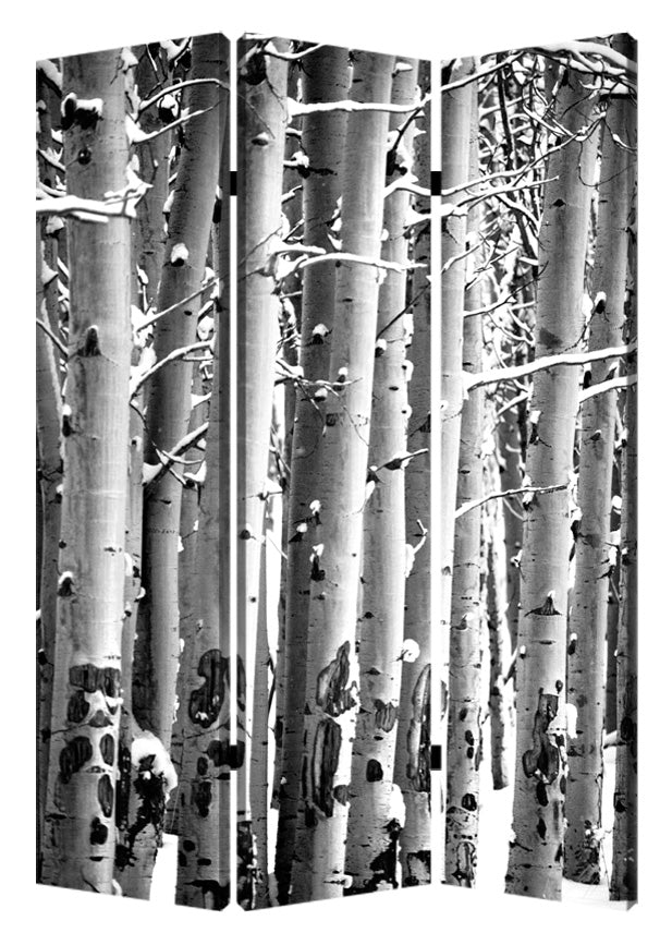 1" X 48" X 72" Multi Color Wood Canvas Birch Screen