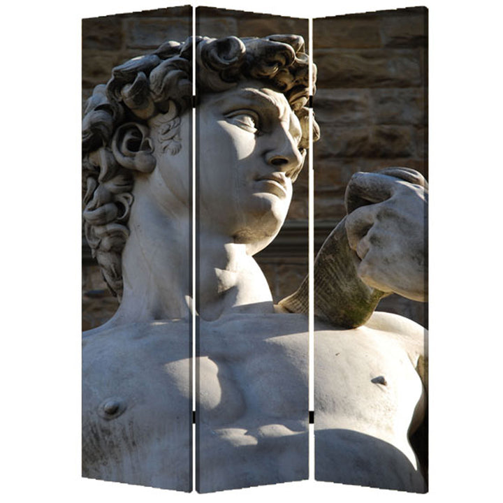 1" X 48" X 72" Multi Color Wood Canvas Rome Screen