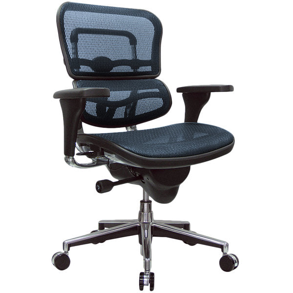 Blue Swivel Adjustable Task Chair Mesh Back Plastic Frame