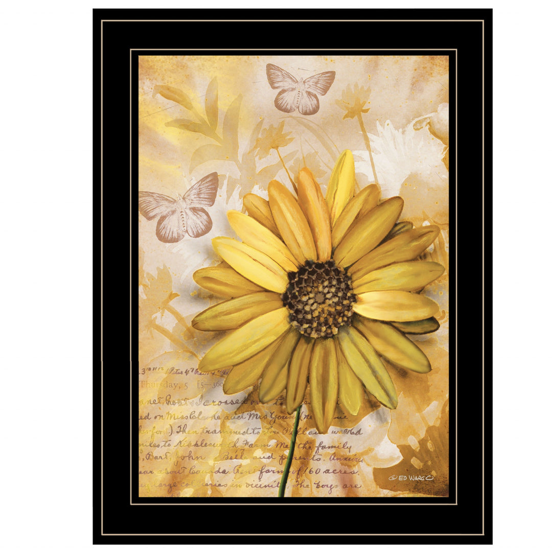 Flowers &amp; Butterflies II 3 Black Framed Print Wall Art