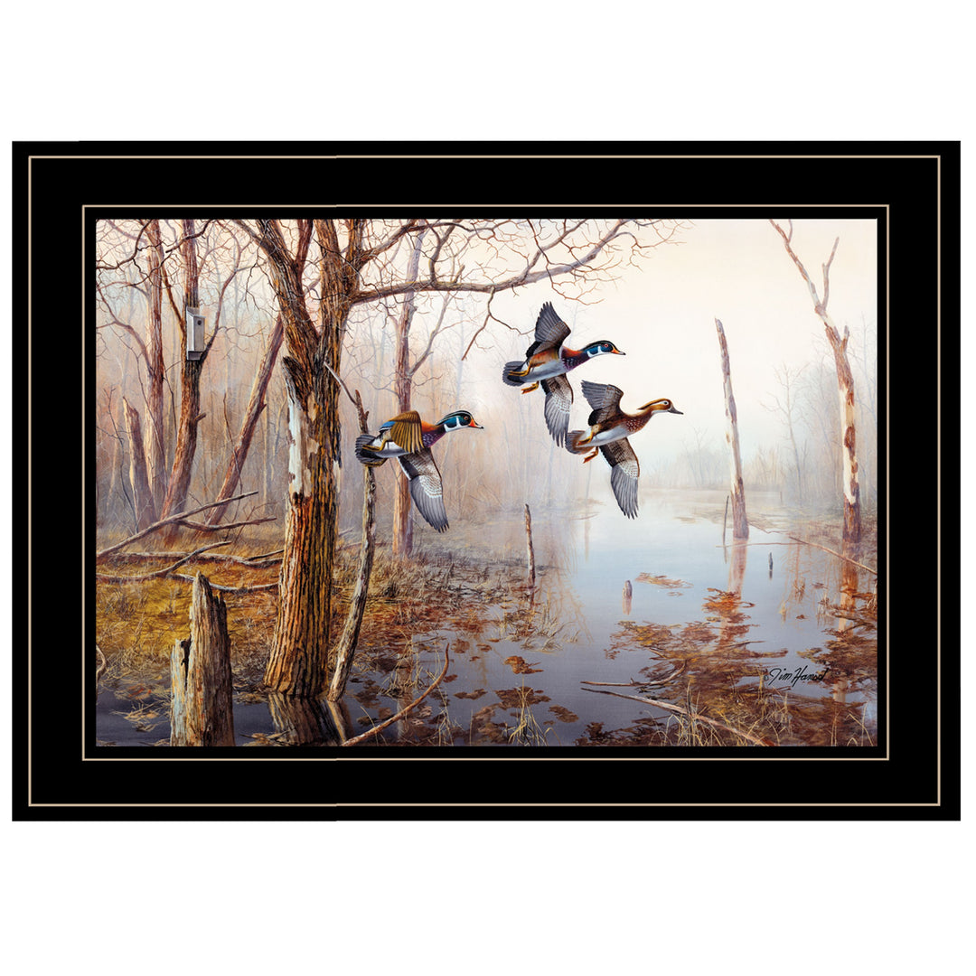 Master Of His Domain Collection 2 Black Framed Print Wall Art