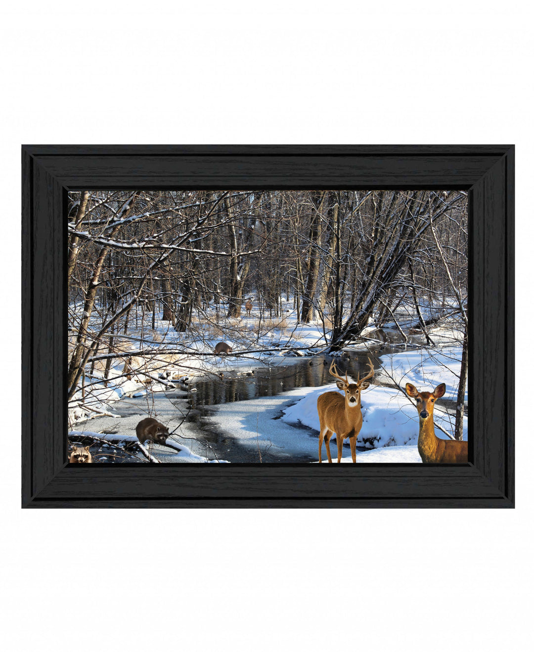 Great Outdoors Nature 1 Black Framed Print Wall Art