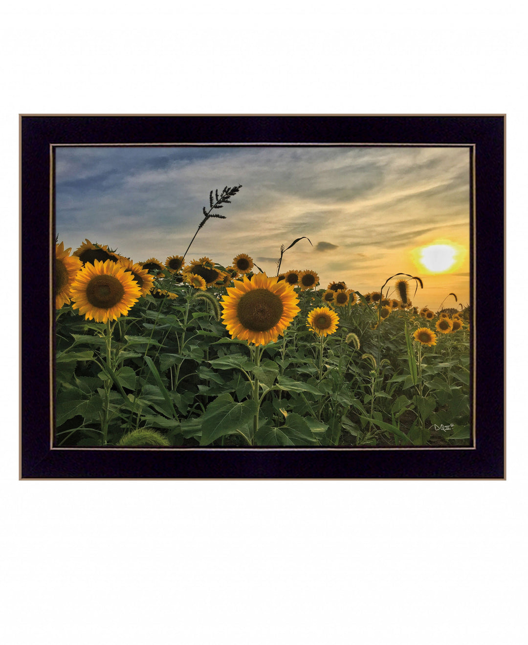 Midwest Living I Black Framed Print Wall Art