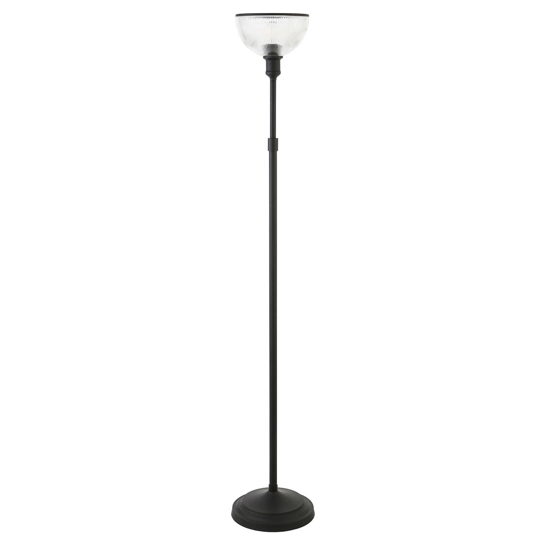 65" Black Novelty Floor Lamp With Clear Transparent Glass Dome Shade